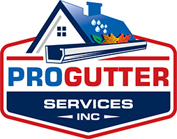 Pro Gutter Services